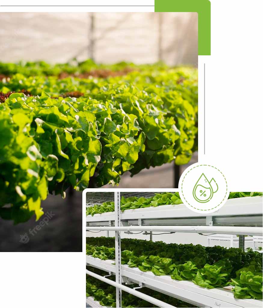 植物工廠整廠建置